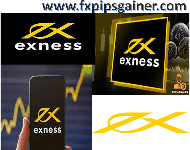 Exness online broker A Comprehensive Guide to Trading Success